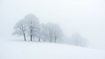 Fototapeta premium Winter landscape in fog