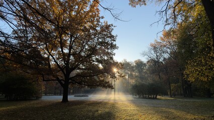 Obraz premium A serene autumn park scene with sunlight filtering through trees, mist rising from the ground, and colorful foliage