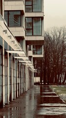 A modern building with large windows and a reflective wet sidewalk, surrounded by trees in the background