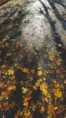 A pathway covered with fallen autumn leaves, showcasing vibrant yellow and orange hues, with shadows cast by trees in the background