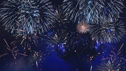 Night sky illuminated by fireworks