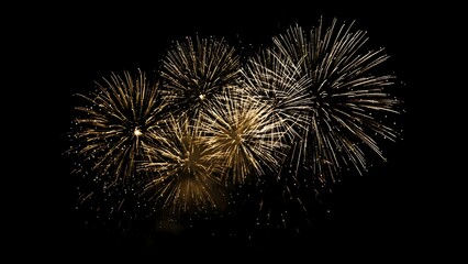 Obraz premium Golden fireworks bursting in night sky