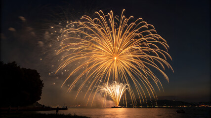 A circular firework that expands outward like a blooming flower, made of ultra-fine gold filaments with subtle glowing embers drifting down. Center is hollow, perfect for framing text or a couple’s na