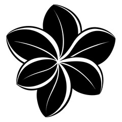 black and white flower
