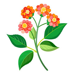 lantana flower with branch on white background