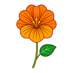 orange flower isolated line art on white