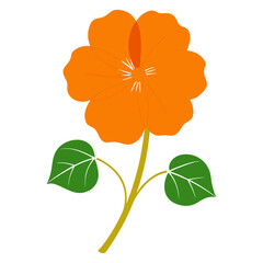 orange flower isolated silhouette on white background