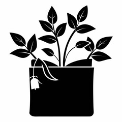 vector illustration of a pocketbook plant on white background