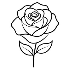 black roses flower vector illustration