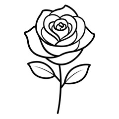  roses flower line art on white background