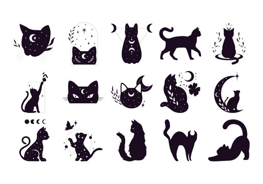Mystical Magic Black Cat Element