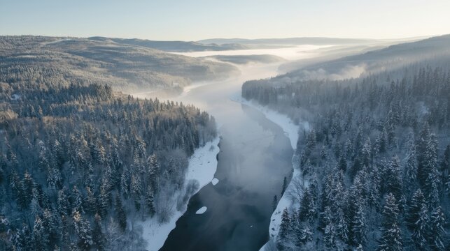 Serene winter landscape with snow-capped trees - Powered by Adobe