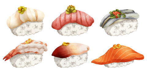 Premium realistic hand-drawn watercolor illustration set of traditional Japanese Nigiri sushi. Featuring scallop, fatty tuna, sardine, sweet shrimp, surf clam and salmon on rice.