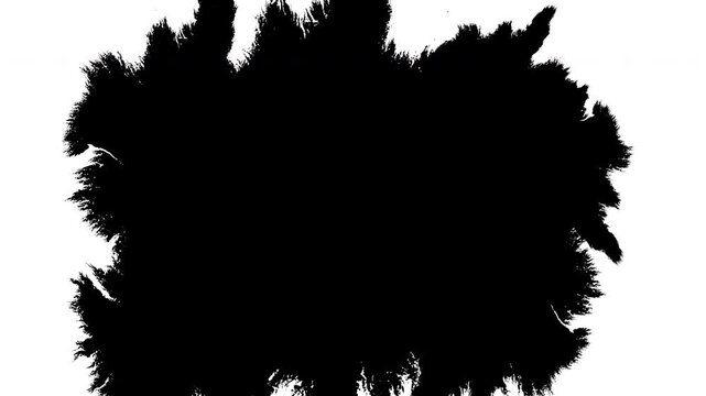 Ink transition splatter blot spreading from centre