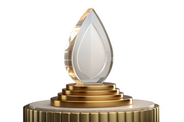 Gold coin and money in a box on white background