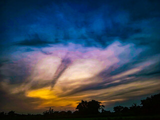 Fototapeta premium sunset in the forest 