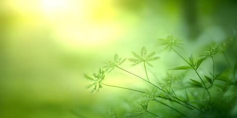 Abstract blur green color for background.