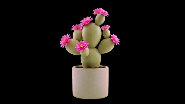 actus with pink flowers, desert aesthetic, ceramic pot, png