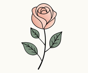 elegant single pink rose illustration with green leaves and black outlines on a cream background.