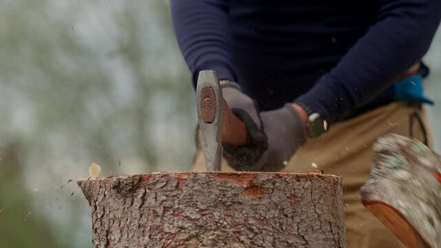 Cropped View Of A Man Chopping A Wood Log Using An Axe In A Forest. Close-up Shot