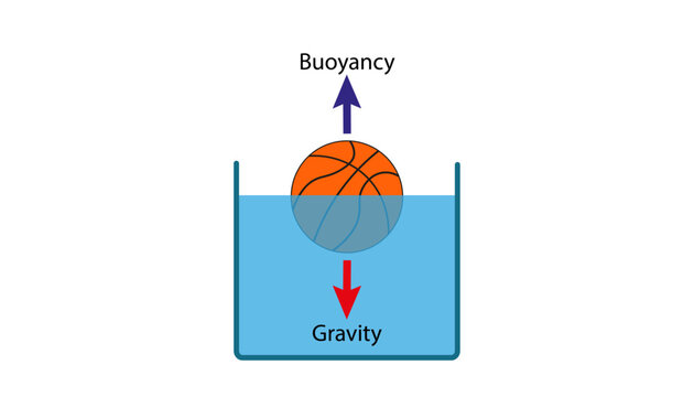 Diagram of buoyancy physics, a ball rising from water 