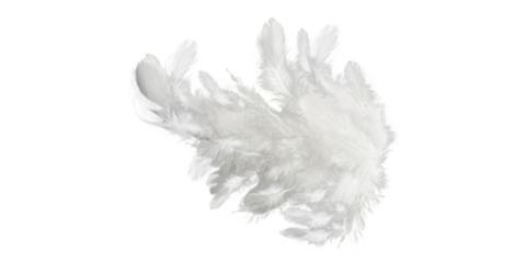 White feather cluster png clipart, fluffy angelic plume bundle isolated on transparent background, soft celestial texture for wings design, magical dust effects, photo edits and digital art

