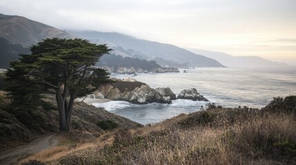 Obraz premium Serene Coastal Landscape with Rocky Shoreline and Lush Vegetation