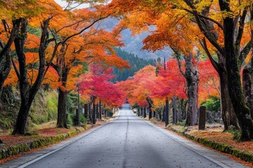 A long, straight road lined with trees and bushes, leading to a distant mountain range under a clear blue sky.
