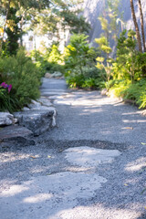 Stone path in the backyard garden with trees along the sides