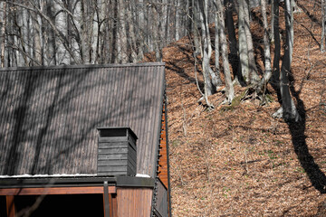 A frame cabin nestled in a forest . Relax in the Forest House