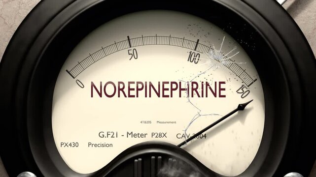 Norepinephrine meter showing big levels of norepinephrine. Dangerously increasing high values of norepinephrine, critical overload. Too much, off the charts. Max norepinephrine