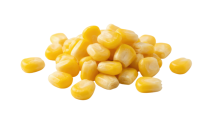 A pile of organic yellow sweetcorn kernels and raw maize seeds isolated on a white background forms a healthy vegetarian food ingredient for agriculture and nutrition