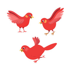 Obraz premium A beautiful Red bird with different position. Made for Hindi moral stories, Create with Illustrator and Ready for Animate CC. See Less