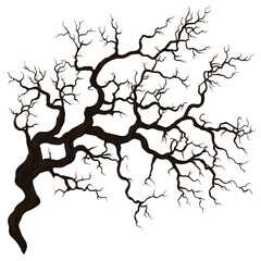 Bare Tree Branch Isolated on Transparent Background &ndash; Dry Twisted Winter Branch