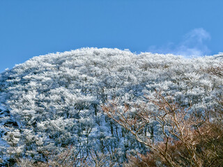 冬期の御在所岳、裏道登山道の山頂周辺の樹氷と冬山風景