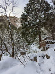御在所岳の裏道登山道の藤内壁出合から見上げる冬の藤内壁全景