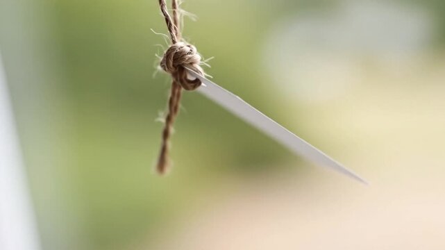 Blank tag hanging with twine