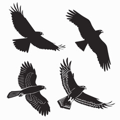Obraz premium Four flying eagles illustration