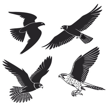Silhouettes of birds in flight