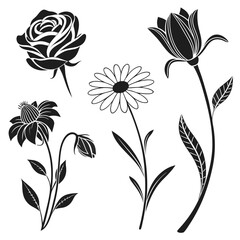 Black and white floral silhouettes