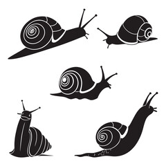 Set of snail silhouettes © zon