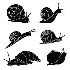 Collection of snail silhouettes © zon