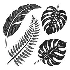 Obraz premium Black and white leaf collection