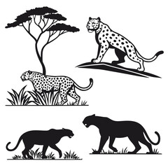 Silhouettes of leopards in various poses © zon