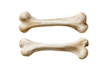 Two Natural Dog Bones on White Background