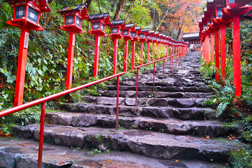 京都市左京区、秋の紅葉シーズンの貴船神社、雨に濡れた参道
