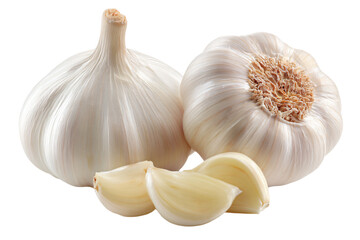 Whole and Clove Garlic on White Background