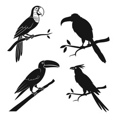 Silhouettes of exotic birds © RABBY