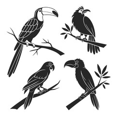 Silhouettes of exotic birds © RABBY