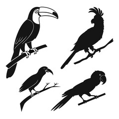 Silhouettes of exotic birds © RABBY